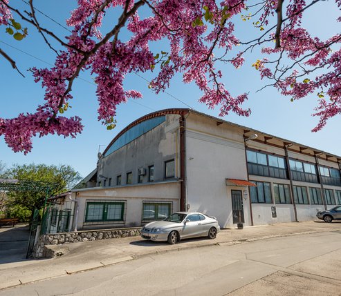 Boćarski centar Podvežica